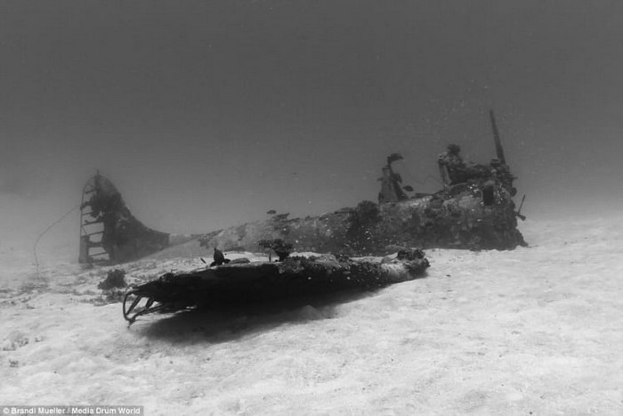 Underwater WW2 Plane Graveyard