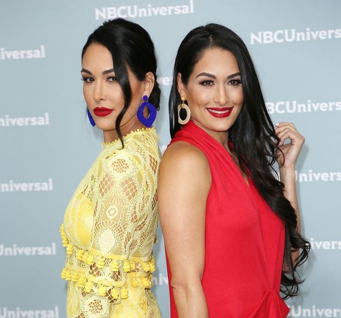 The Bella Twins (Fight)